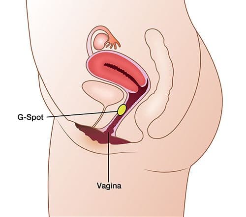 WHAT IS G-SHOT (G SPOT ENLARGEMENT)?